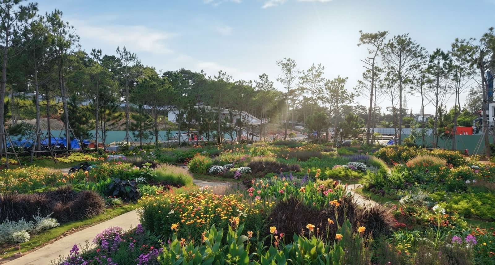 The park features hundreds of rare pine trees, relocated and preserved on site