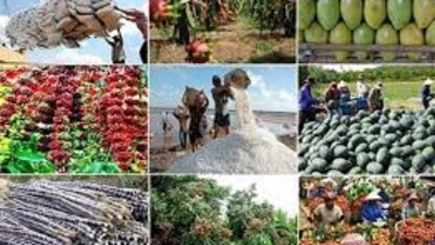 Vietnam seeks to boost agro-forestry-fishery exports beyond $74.2bln in 2026