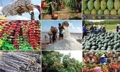 Vietnam seeks to boost agro-forestry-fishery exports beyond $74.2bln in 2026