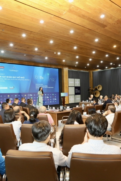 Small Modular Reactors: Strategic Solutions for Vietnam's Energy Security