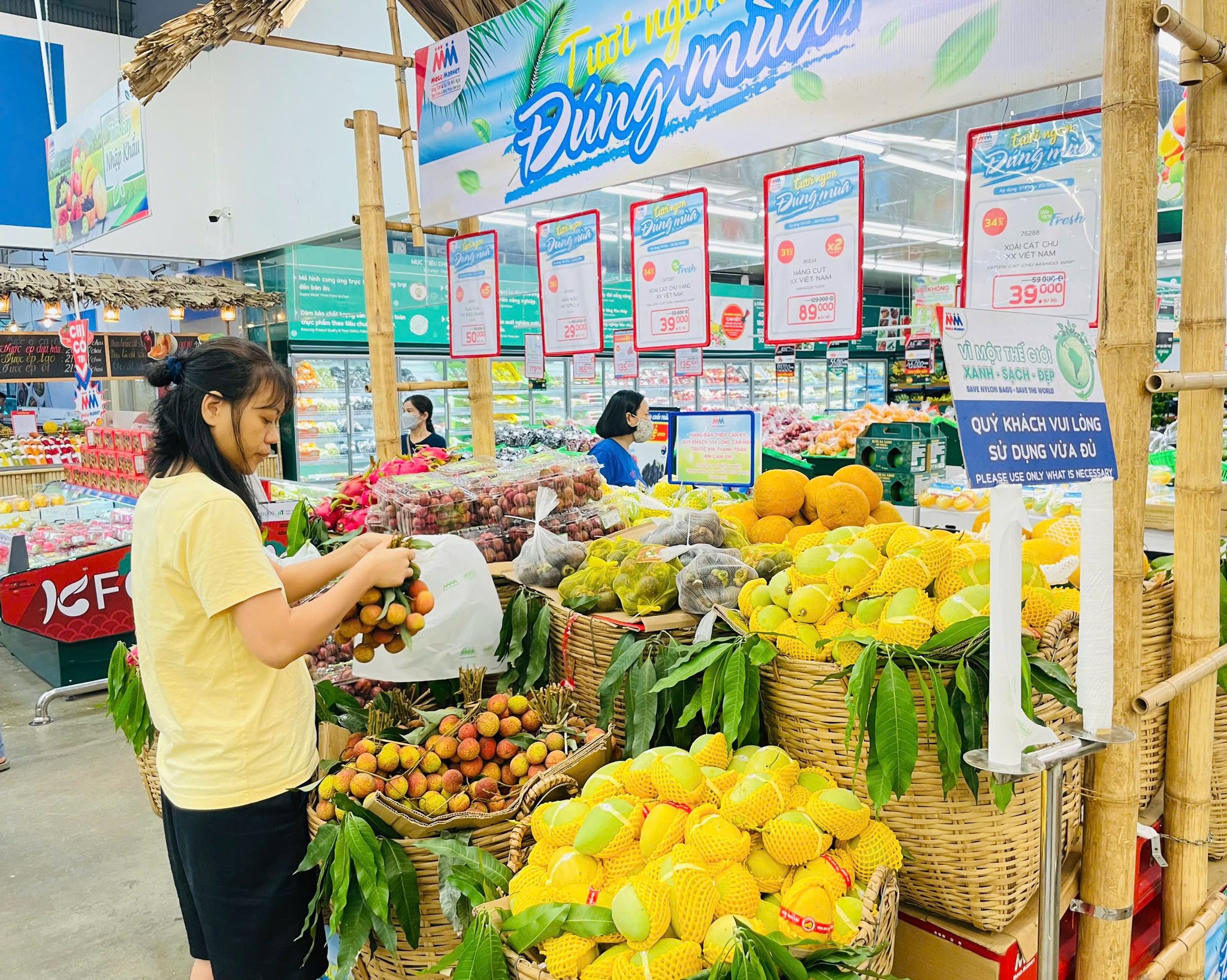 Dịp này, thị trường trái cây trong nước cũng đang sôi động khi hàng loạt nông sản đặc trưng bước vào vụ thu hoạch.