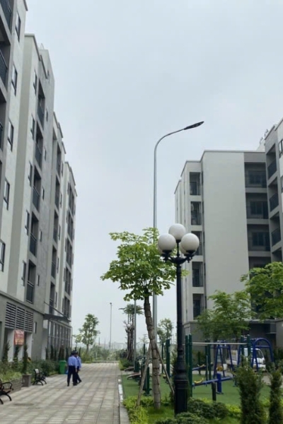 Social housing development accelerated as urban affordability pressures mount