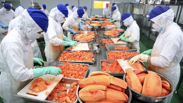 More export opportunities from the UK for Vietnamese firms, despite high compliance barriers