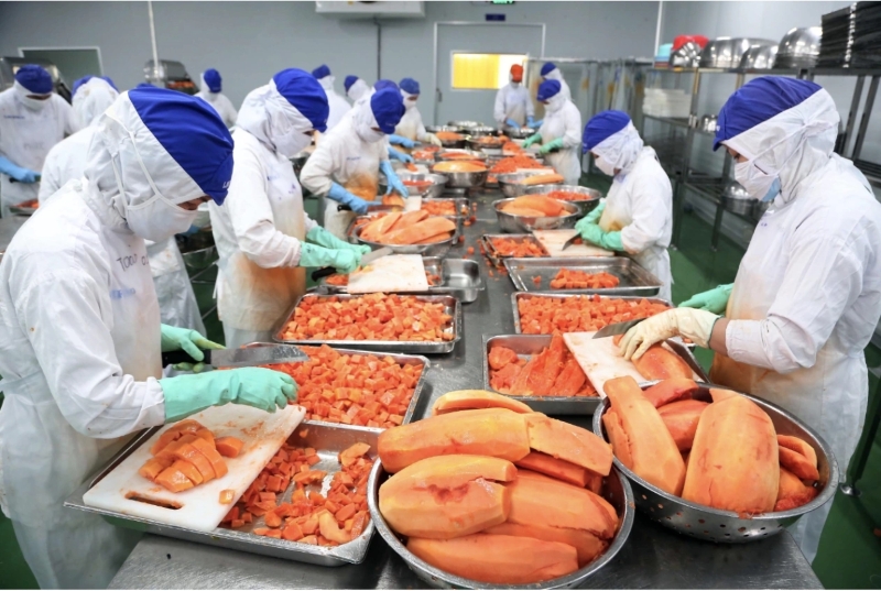 More export opportunities from the UK for Vietnamese firms, despite high compliance barriers