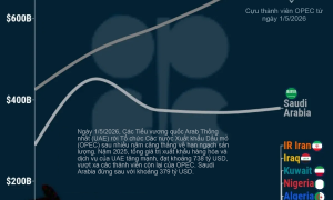 Quốc gia OPEC nào xuất khẩu nhiều nhất?