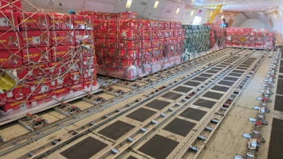 Vietnam’s farm produce strengthens its foothold in the Middle East