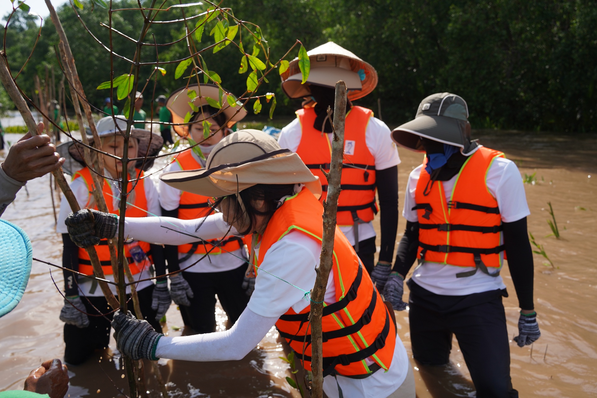 Tình nguyện viên tham gia hoạt động trồng rừng