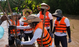 Tình nguyện viên tham gia hoạt động trồng rừng