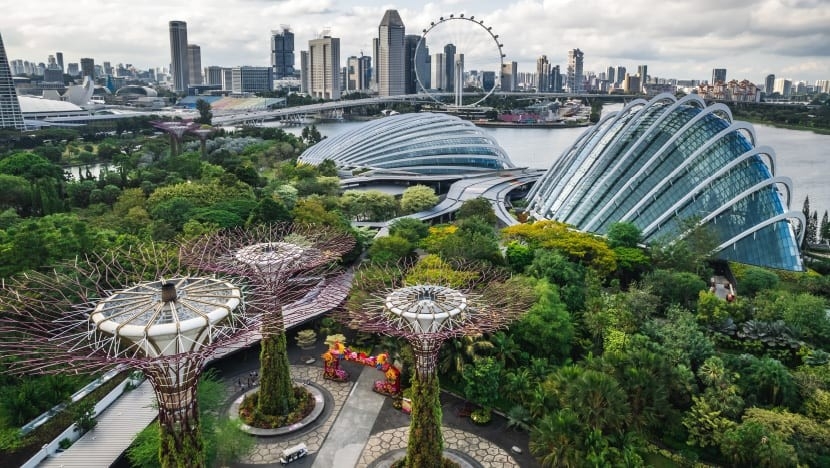 Kế hoạch Thích ứng Quốc gia của Singapore hướng tới tăng cường khả năng chống chịu khí hậu trong dài hạn. Ảnh: CNA