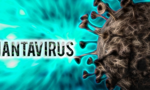 Bộ Y tế cập nhật thông tin mới nhất về bệnh do virus Hanta