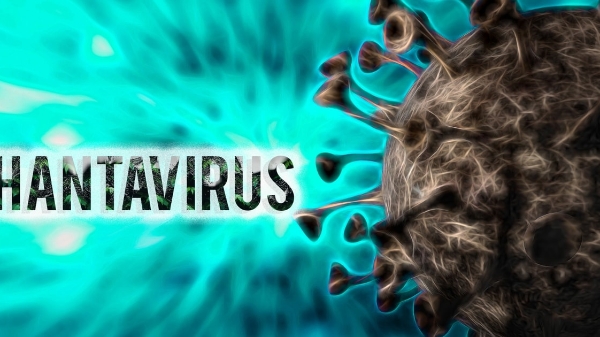 Bộ Y tế cập nhật thông tin mới nhất về bệnh do virus Hanta