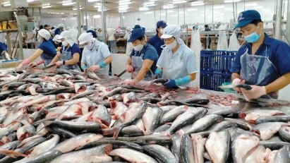 VASEP proposes removing barriers to reach $12 billion in seafood exports by 2026