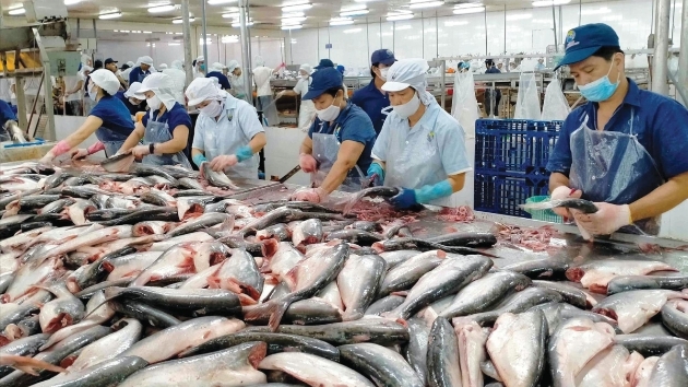 VASEP proposes removing barriers to reach $12 billion in seafood exports by 2026