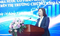 Phần lớn doanh nghiệp Nhà nước cổ phần hóa là công ty đại chúng chưa đủ điều kiện cơ cấu cổ đông
