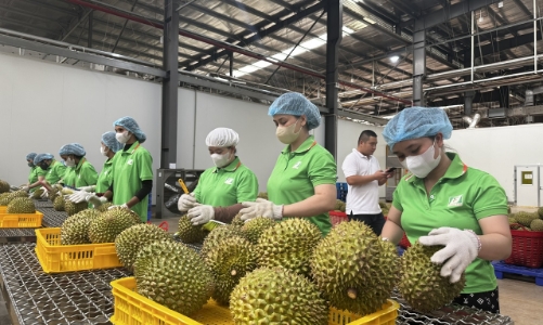 Nông sản Việt cần thích ứng với Nghị định 280 của Trung Quốc và quy định RCEP mới