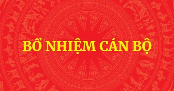 Bổ nhiệm Trợ lý Thủ tướng, Trợ lý Phó Thủ tướng Thường trực Chính phủ