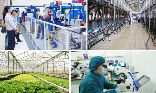 Gỡ rào cản để thúc đẩy phát triển kinh tế và đổi mới sáng tạo
