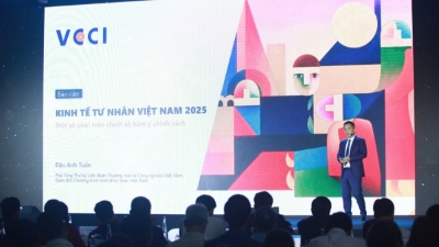 VCCI unveils 2025 Vietnam Private Economic Report, launches PCI 2.0 and BPI
