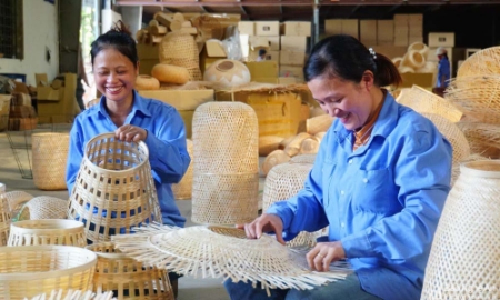 Nghệ An thúc đẩy hợp tác xã tham gia sâu vào chuỗi cung ứng xuất khẩu.