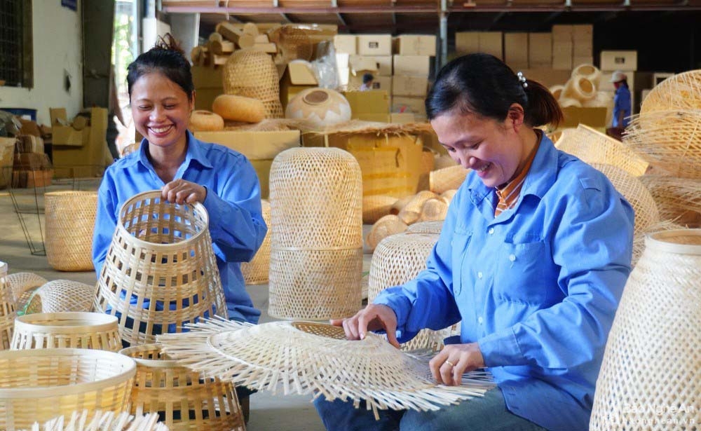Nghệ An thúc đẩy hợp tác xã tham gia sâu vào chuỗi cung ứng xuất khẩu.