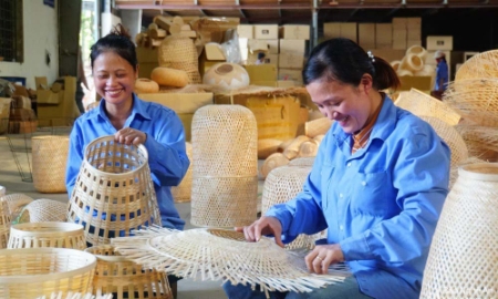 Nghệ An thúc đẩy hợp tác xã tham gia sâu vào chuỗi cung ứng xuất khẩu.