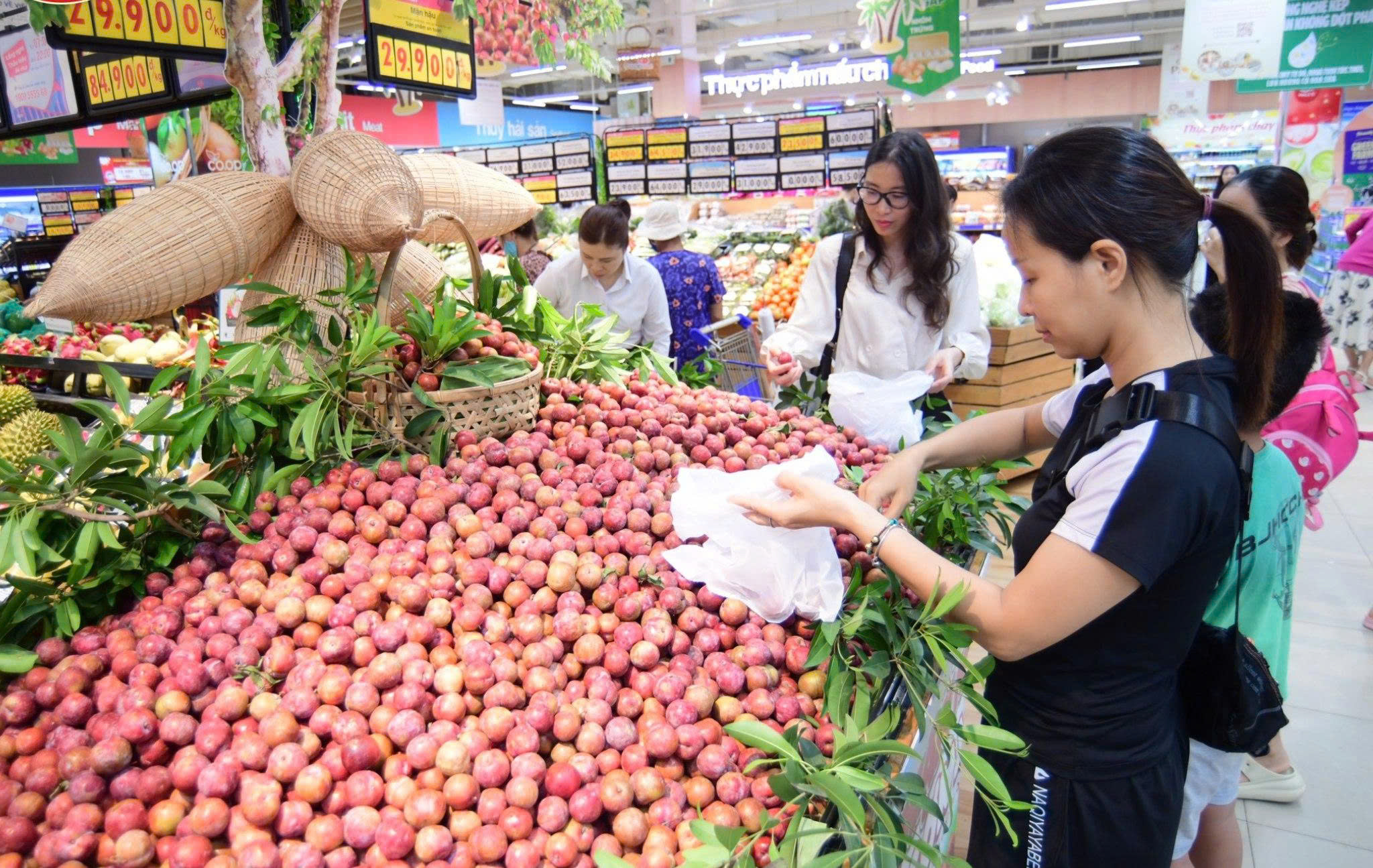 Saigon Co.op khởi động 