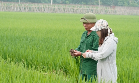 22 địa phương triển khai kế hoạch sản xuất trồng trọt giảm phát thải