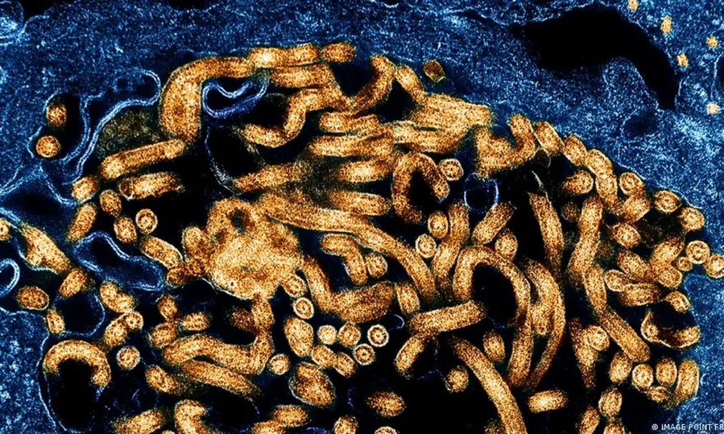 WHO báo động khẩn cấp quốc tế vì Ebola tái bùng phát tại châu Phi