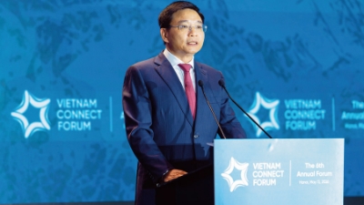 Synergy promotion for FDI, domestic enterprises encouraged