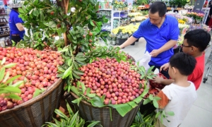Bán lẻ hiện đại “mở đường” tiêu thụ nông sản
