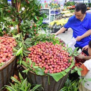 Đặc sản Việt ngày càng mở rộng thị trường và tiếp cận sâu hơn vào hệ thống phân phối hiện đại.