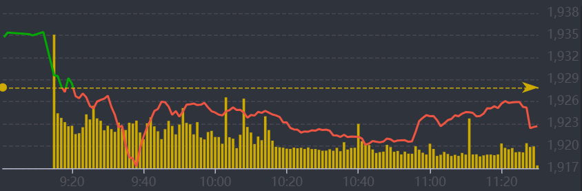 Diễn biến VN-Index sáng nay.