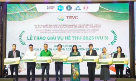 Trao giải cho 10 doanh nghiệp.