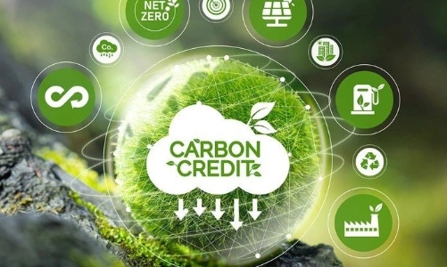 Tín chỉ carbon: Thị trường tỷ USD và lớp tài sản đầu tư tiềm năng mới