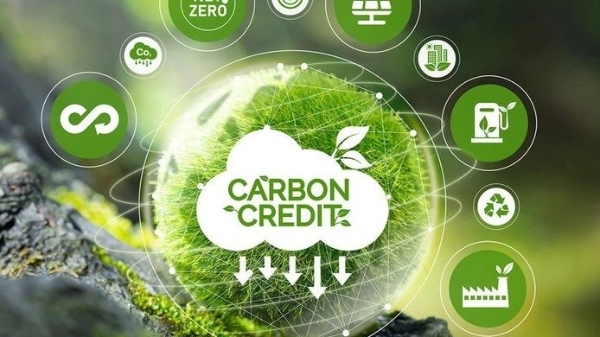 Tín chỉ carbon: Thị trường tỷ USD và lớp tài sản đầu tư tiềm năng mới