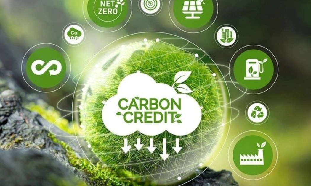 Với lợi thế sở hữu khoảng 1/3 giải pháp carbon dựa vào tự nhiên của thế giới, ASEAN có thể tạo ra tới 3.000 tỷ USD doanh thu. Ảnh minh họa