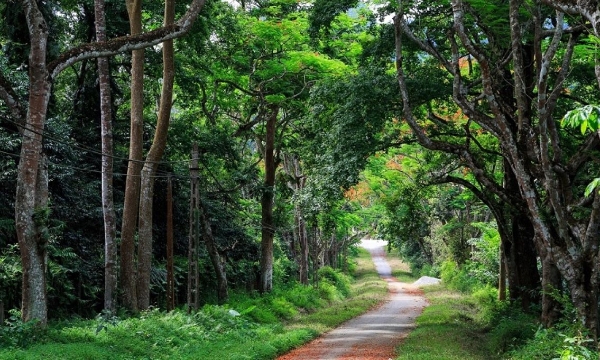 Vườn quốc gia là không gian bảo vệ và phát triển của các hệ sinh thái. Ảnh minh họa.