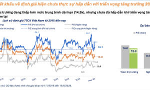 FiinGroup: Có 5 nhóm ngành đang giao dịch dưới định giá trung bình 5 năm 
