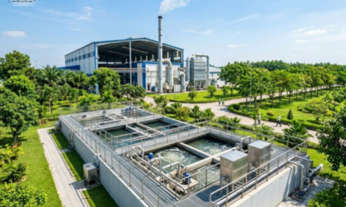 Cắt giảm, phân quyền, đơn giản hóa hàng loạt thủ tục hành chính về Nông nghiệp và Môi trường