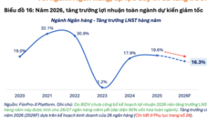 Cổ phiếu ngân hàng: Định giá thấp nhưng lợi nhuận suy yếu khiến tiềm năng tăng giá khá hạn chế 