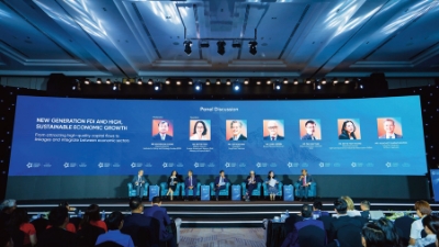 For integrated partnership between FDI and domestic enterprises