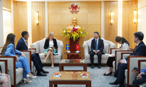 Vietnam and Sweden promote partnership in innovation and digital transformation