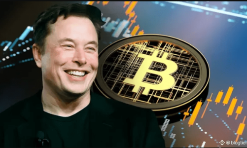 SpaceX lộ kho Bitcoin 1,45 tỷ USD trước thềm IPO