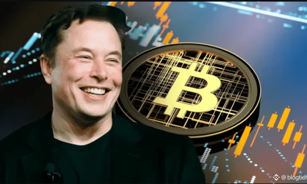 SpaceX lộ kho Bitcoin 1,45 tỷ USD trước thềm IPO
