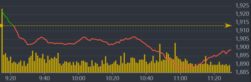 Diễn biến VN-Index sáng nay.