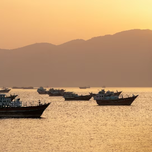 Tàu thuyền di chuyển qua eo biển Hormuz, ngoài khơi Musandam, Oman, ngày 18/5/2026 - Ảnh: Reuters