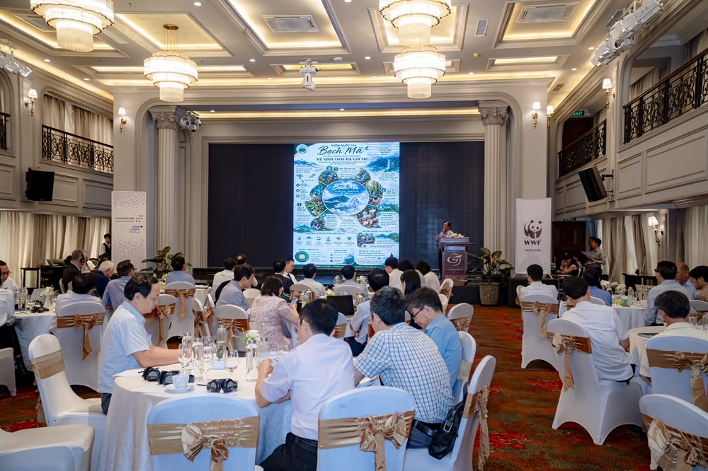 Toàn cảnh hội thảo