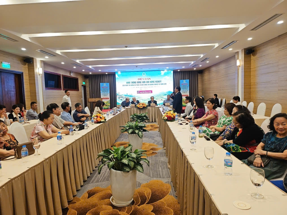 Quang cảnh diễn đàn. Ảnh: Chu Khôi.