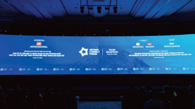 For deeper integration of domestic enterprises  into FDI-led supply chains