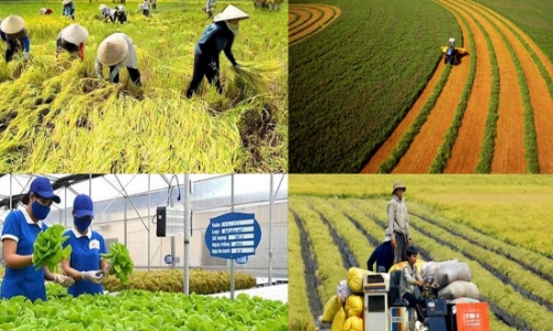 Tín dụng xanh mở đường cho chuyển đổi nông nghiệp bền vững